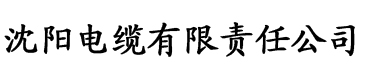 2021国产麻豆剧传媒在线电缆厂logo